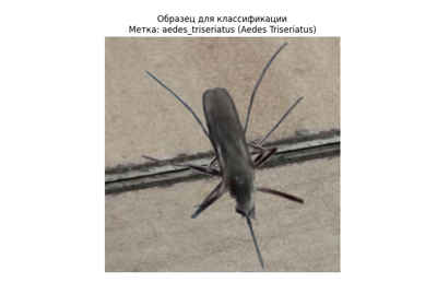 Управление и загрузка наборов данных